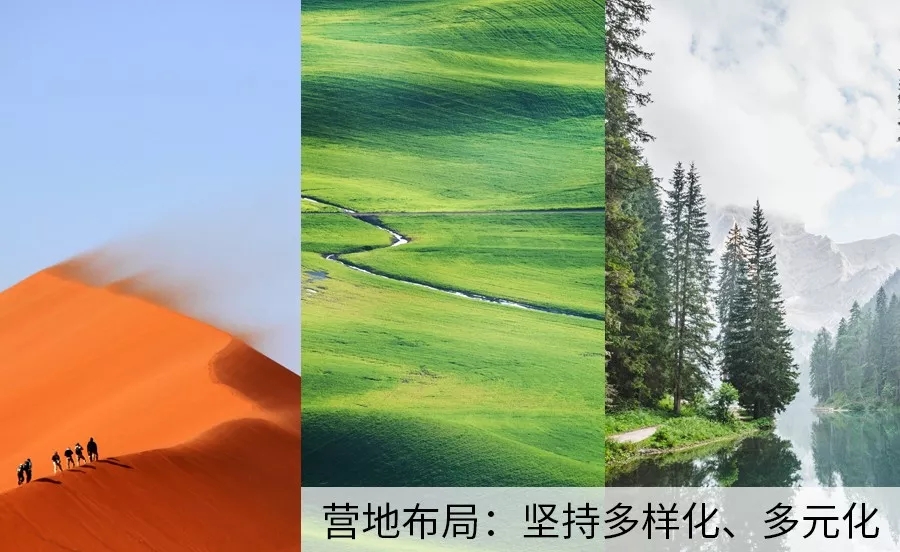 005.webp.jpg